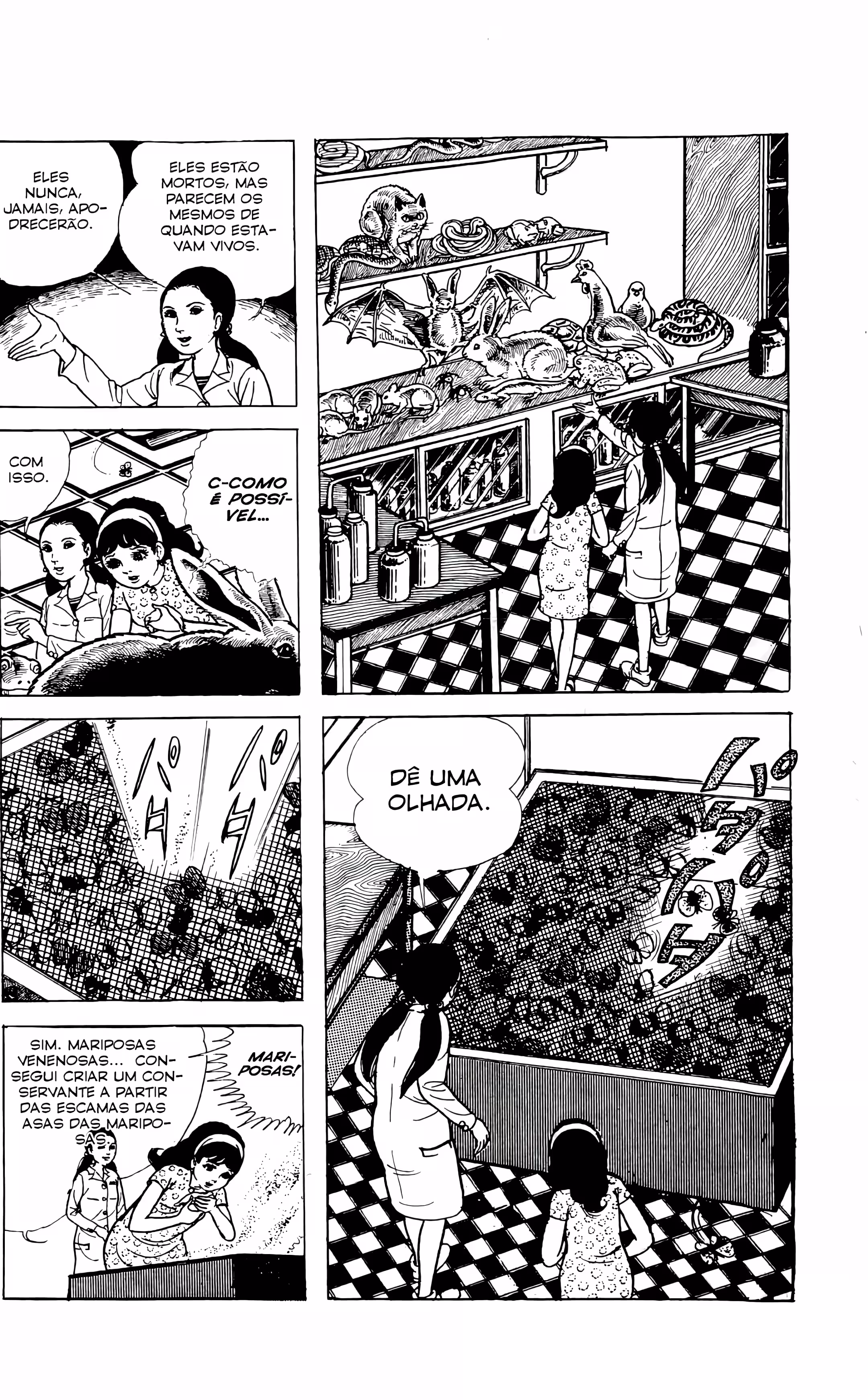 Cap 3.1 página 7