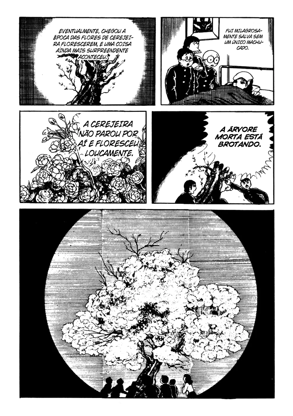 Cap 4.2 página 22
