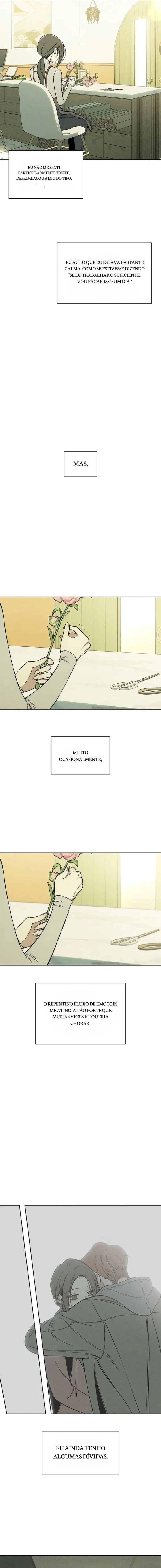 Cap 1 página 17