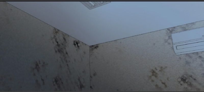 Cap 2 página 118