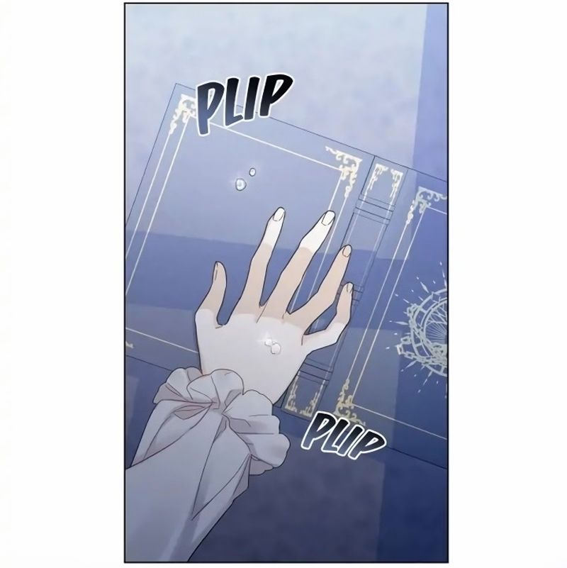 Cap 1 página 91