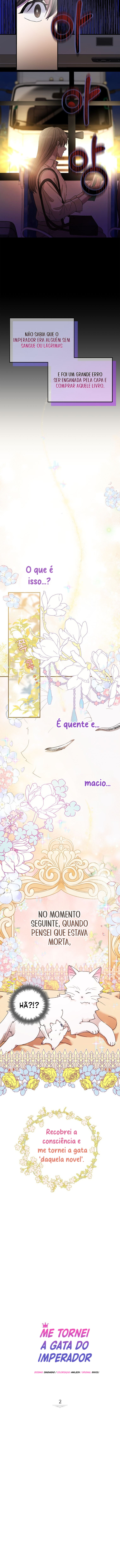 Cap 2 página 3