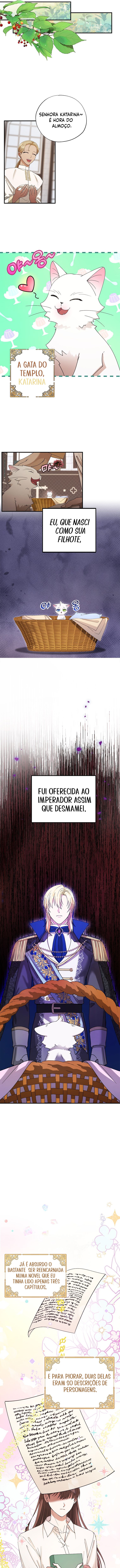Cap 2 página 4