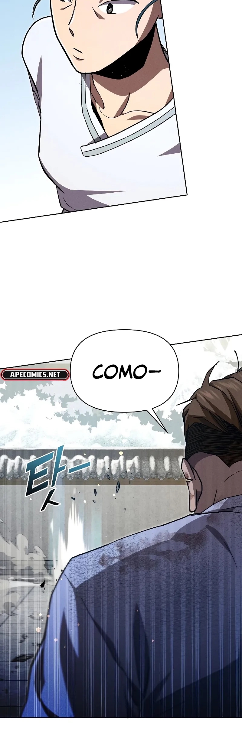 Cap 13 página 19