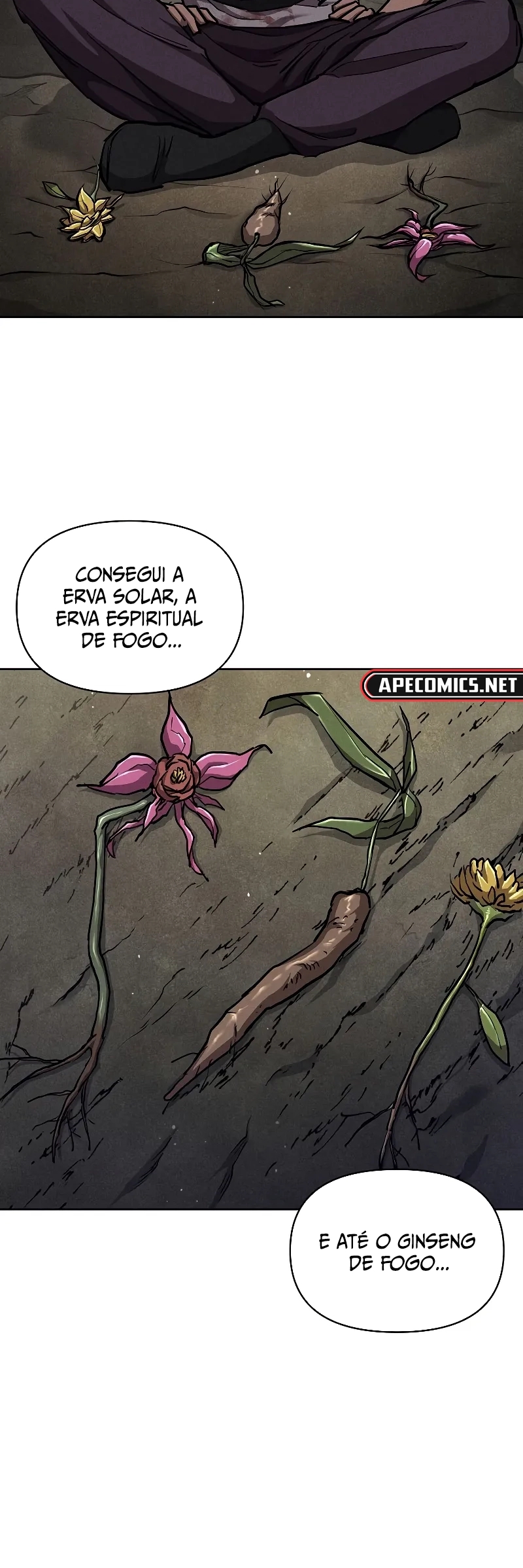 Cap 4 página 55