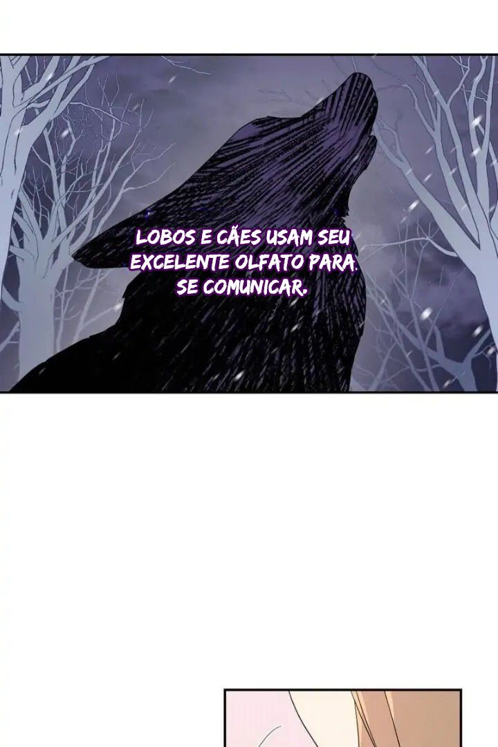 Cap 11 página 33