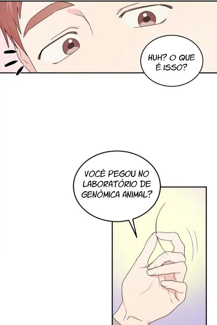 Cap 11 página 40