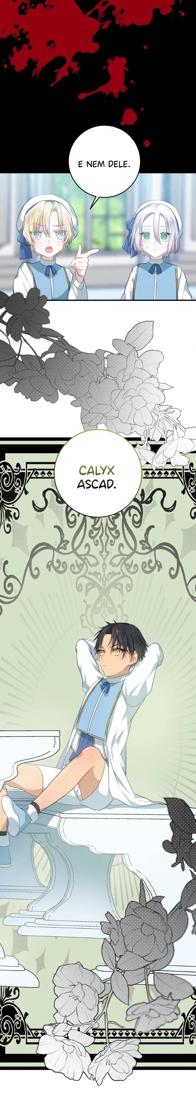 Cap 3 página 25