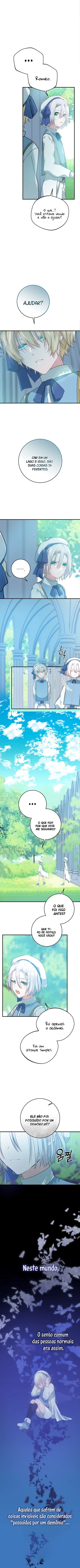 Cap 4 página 29