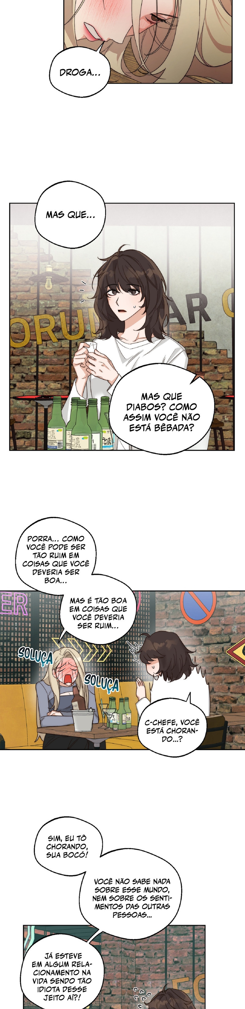 Cap 3 página 17
