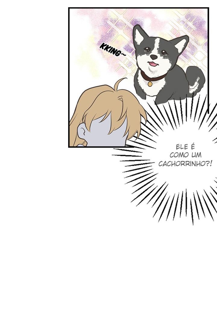 Cap 12 página 45