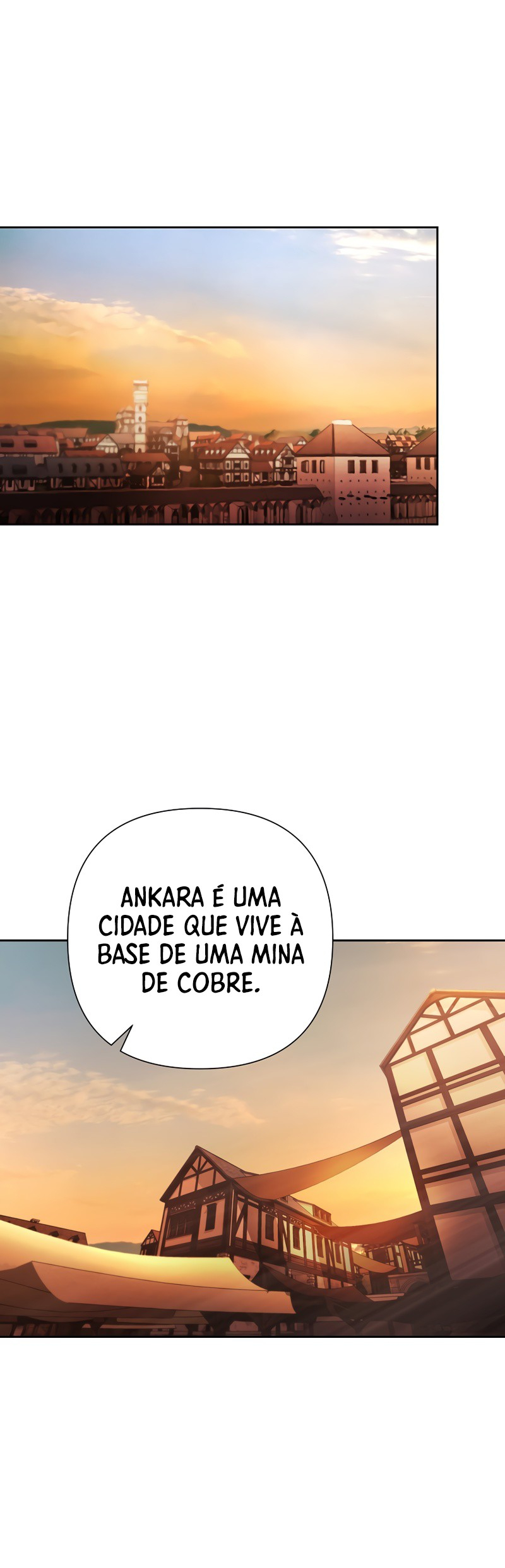 Cap 3 página 29