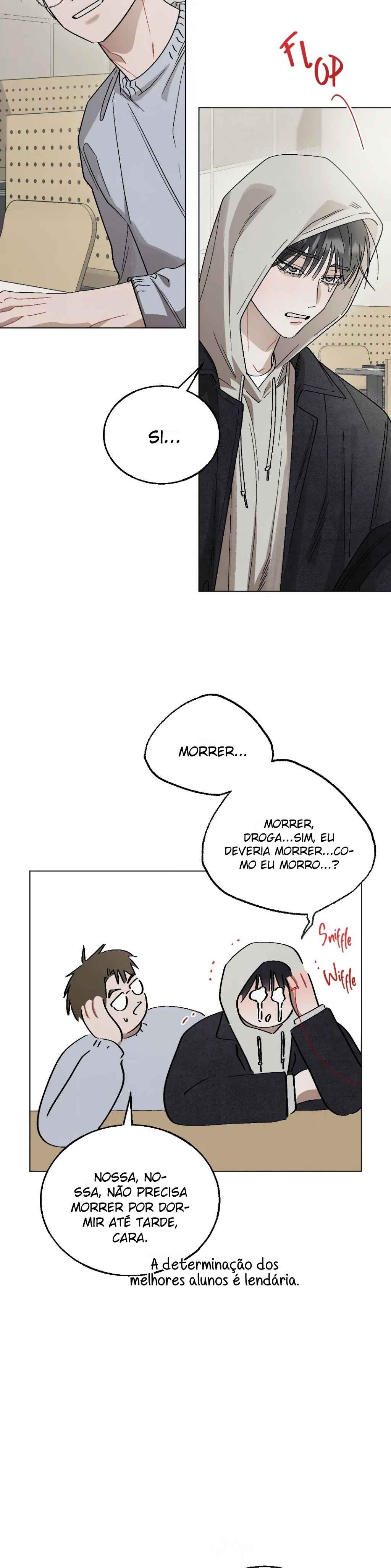 Cap 10 página 15