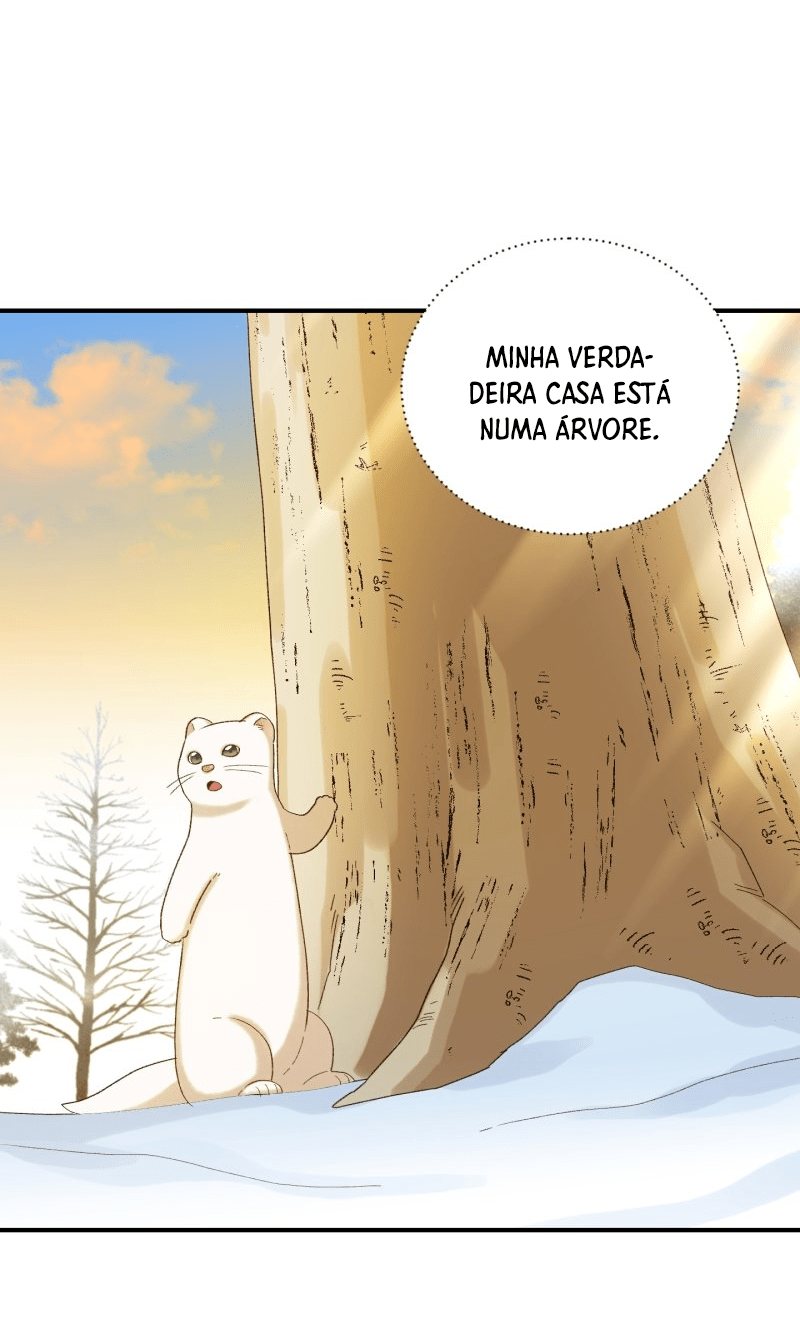 Cap 11 página 54