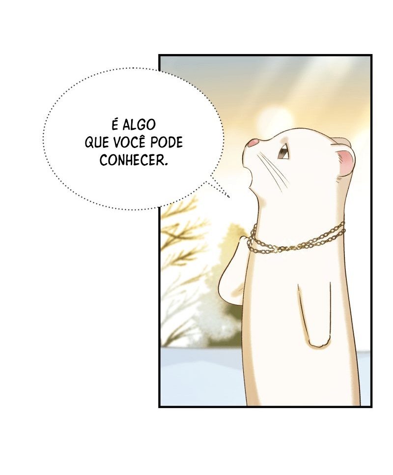 Cap 11 página 65
