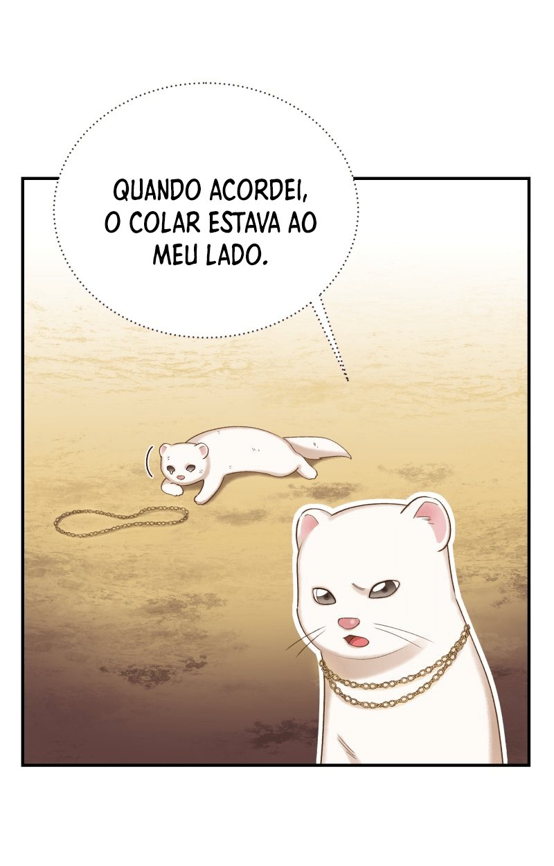 Cap 12 página 46