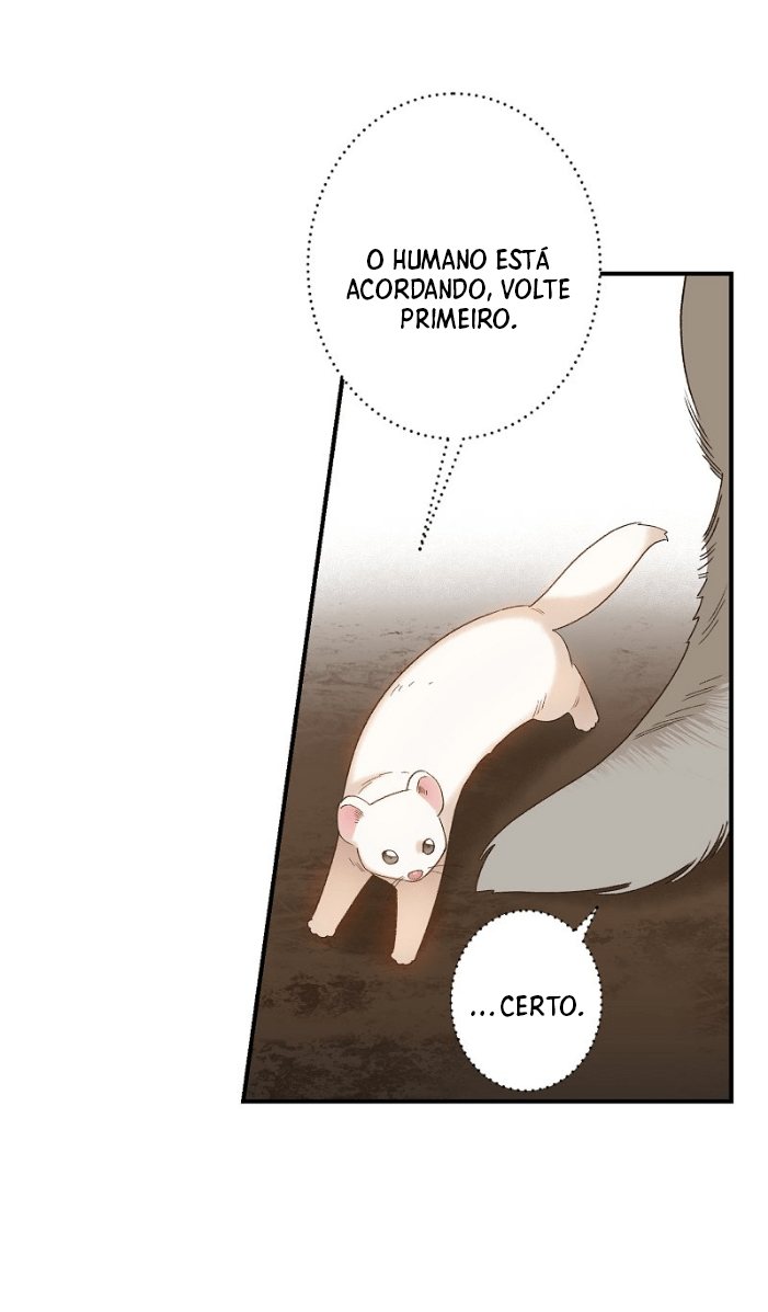 Cap 4 página 11