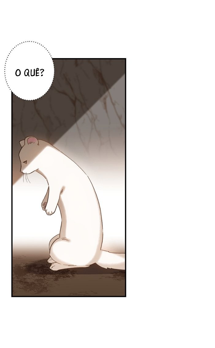 Cap 4 página 21