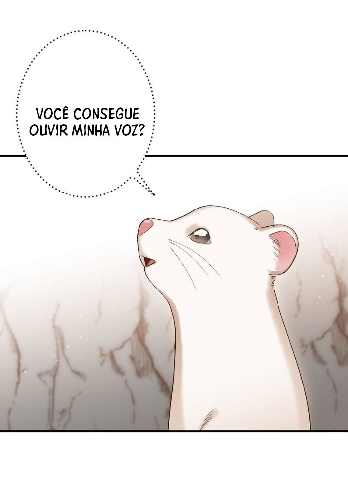 Cap 4 página 22