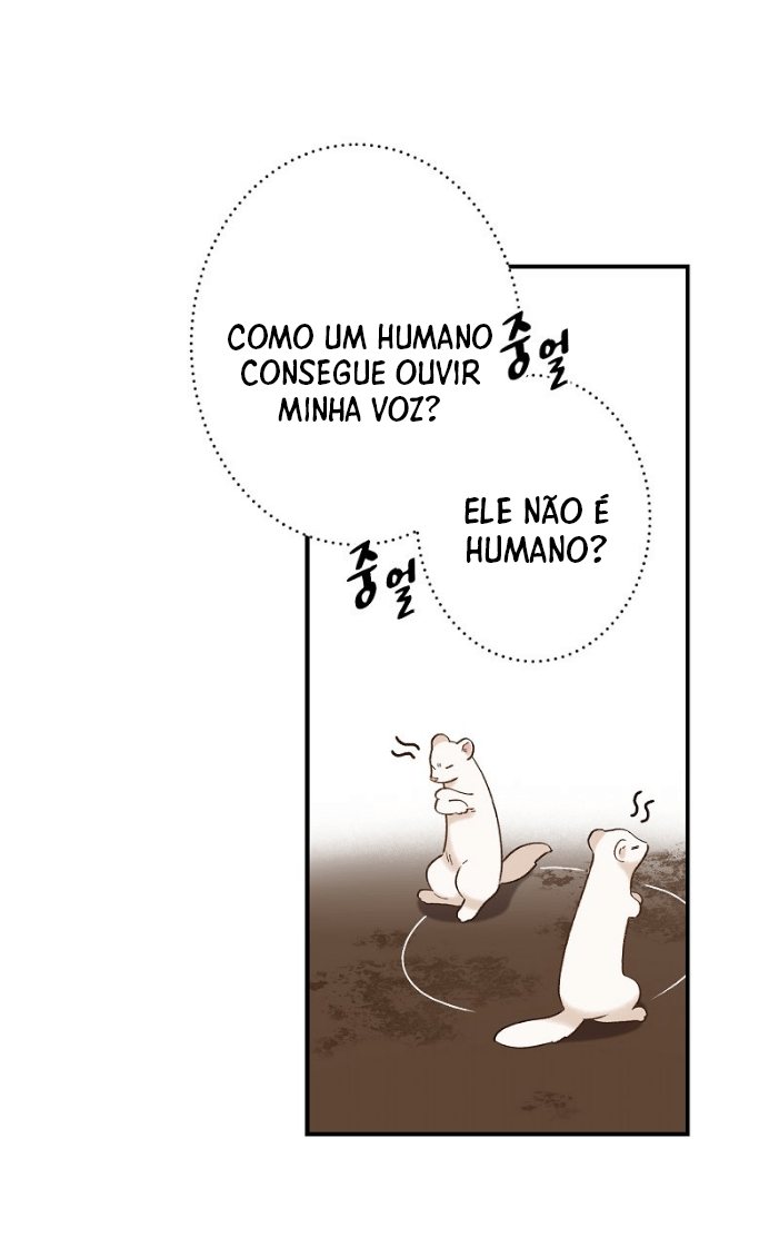 Cap 4 página 25