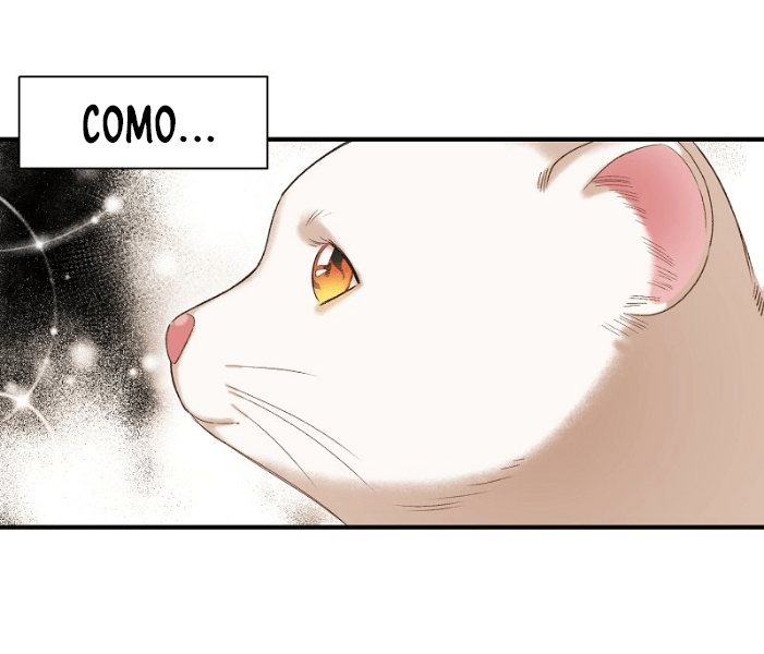 Cap 4 página 41