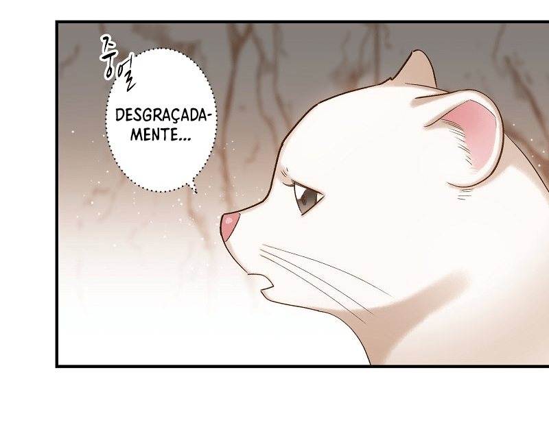 Cap 6 página 19