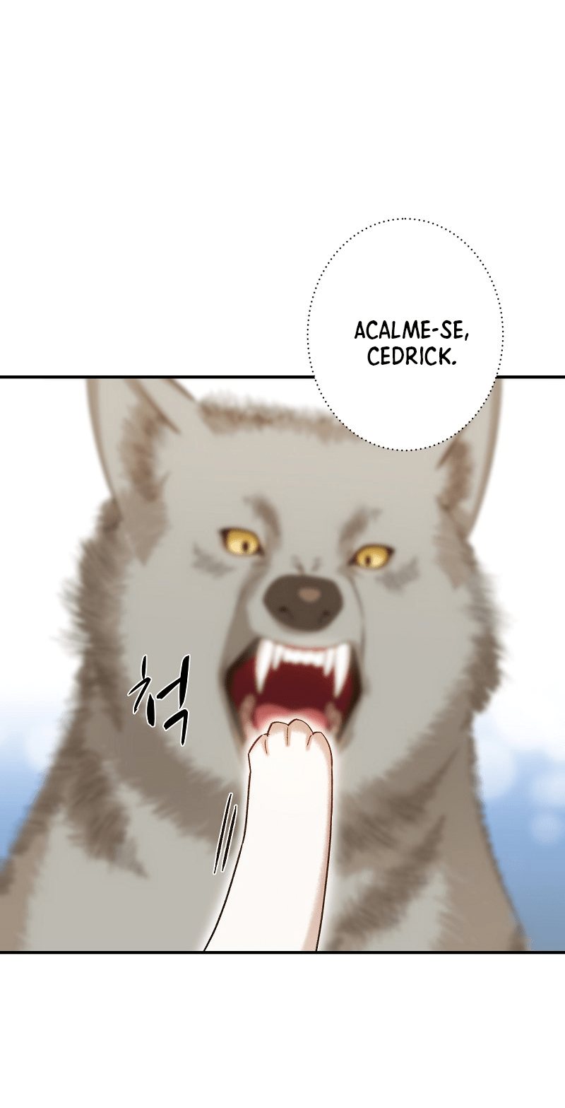 Cap 7 página 29