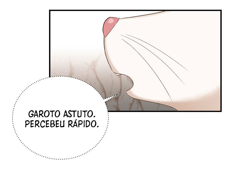 Cap 8 página 41