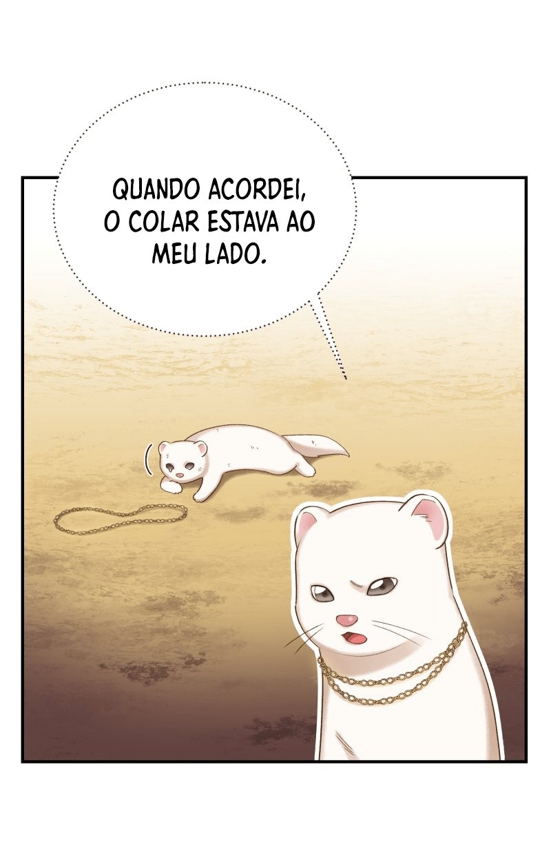 Cap 12 página 46