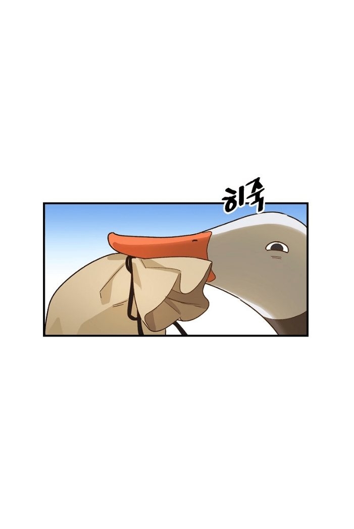 Cap 2 página 67