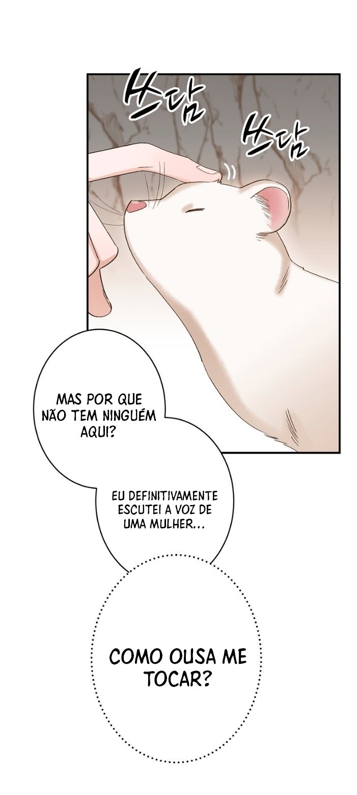 Cap 4 página 17