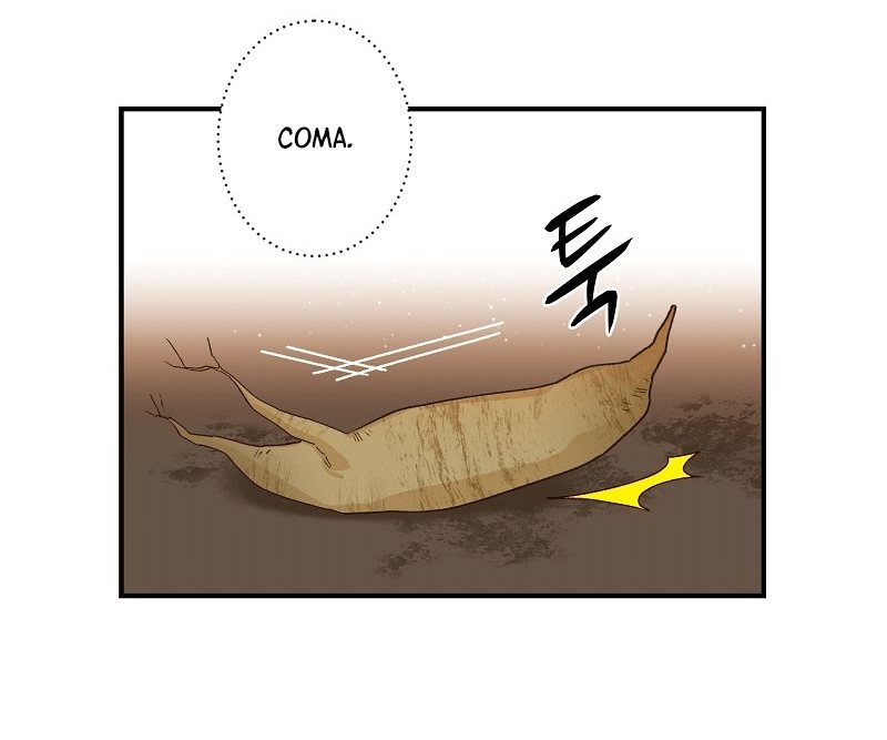 Cap 6 página 3