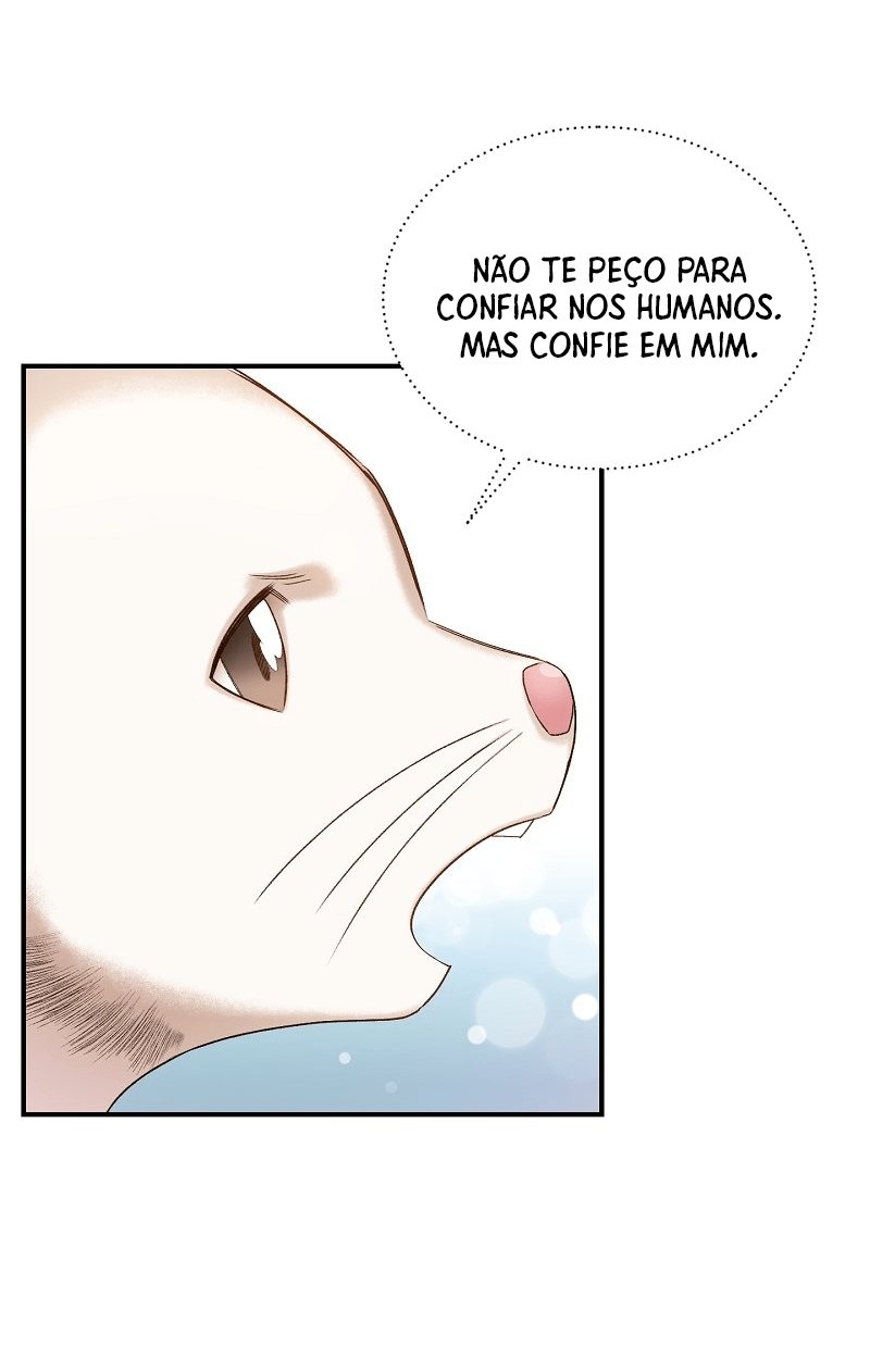 Cap 7 página 31