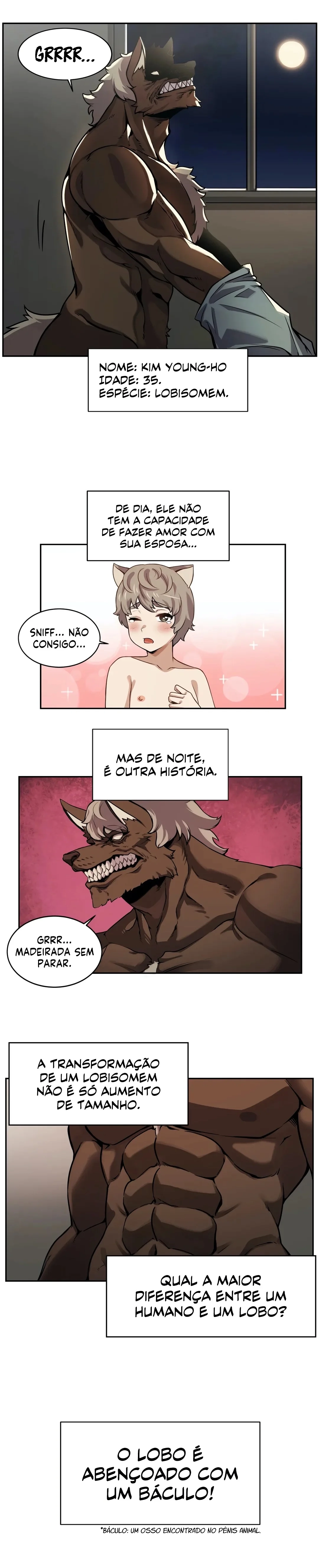 Cap 3 página 13