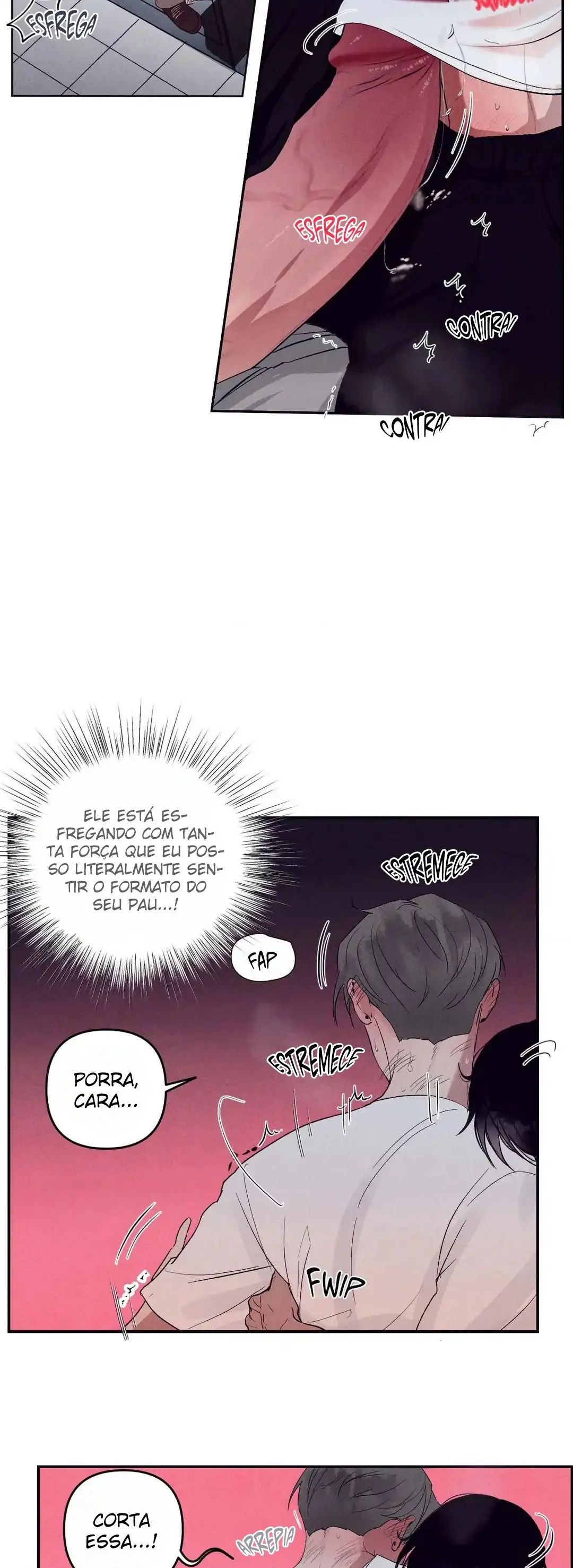 Cap 4 página 29