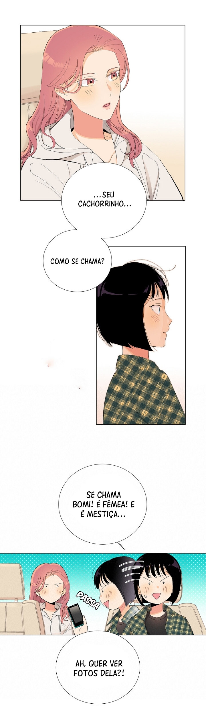 Cap 5 página 19
