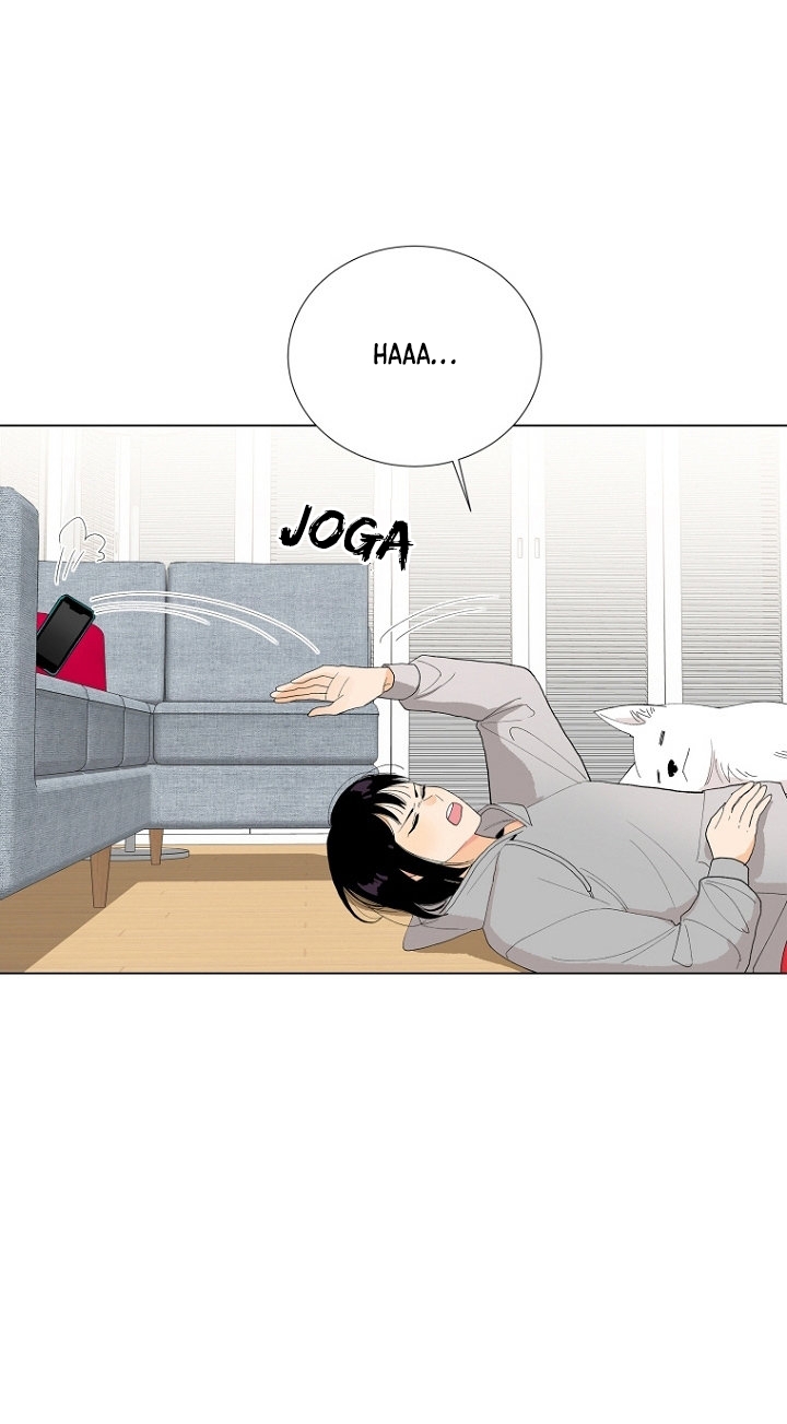 Cap 8 página 21