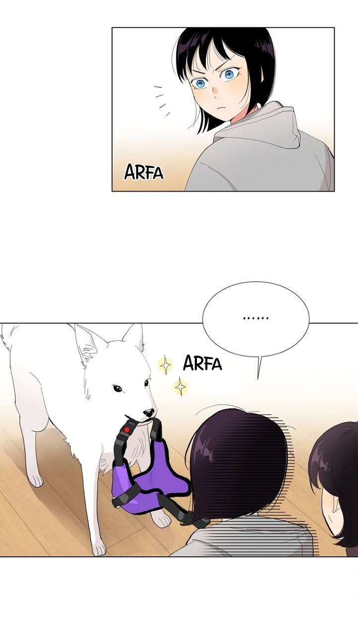 Cap 8 página 36