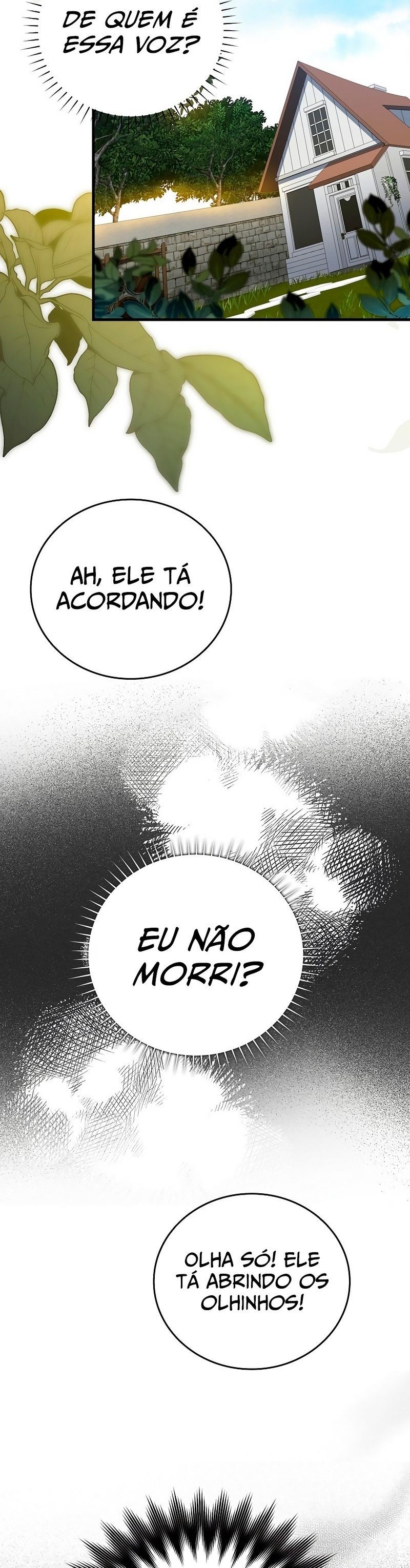 Cap 1 página 31