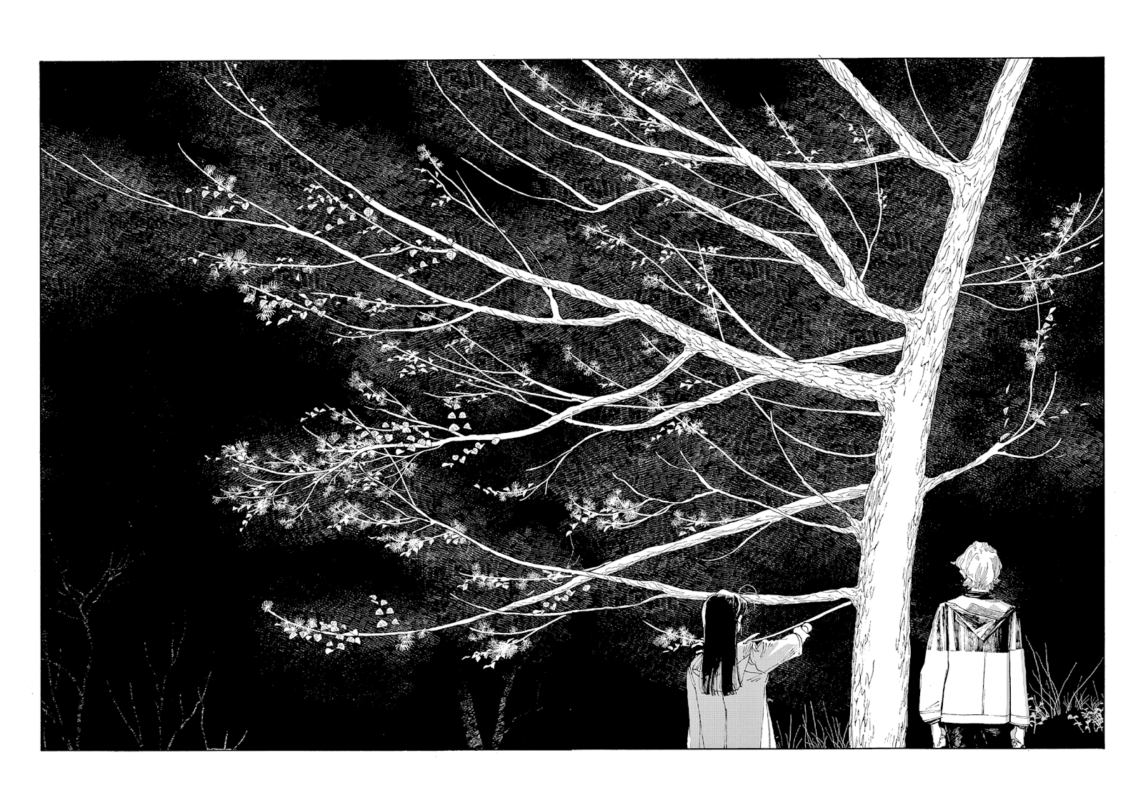 Cap 7 página 11