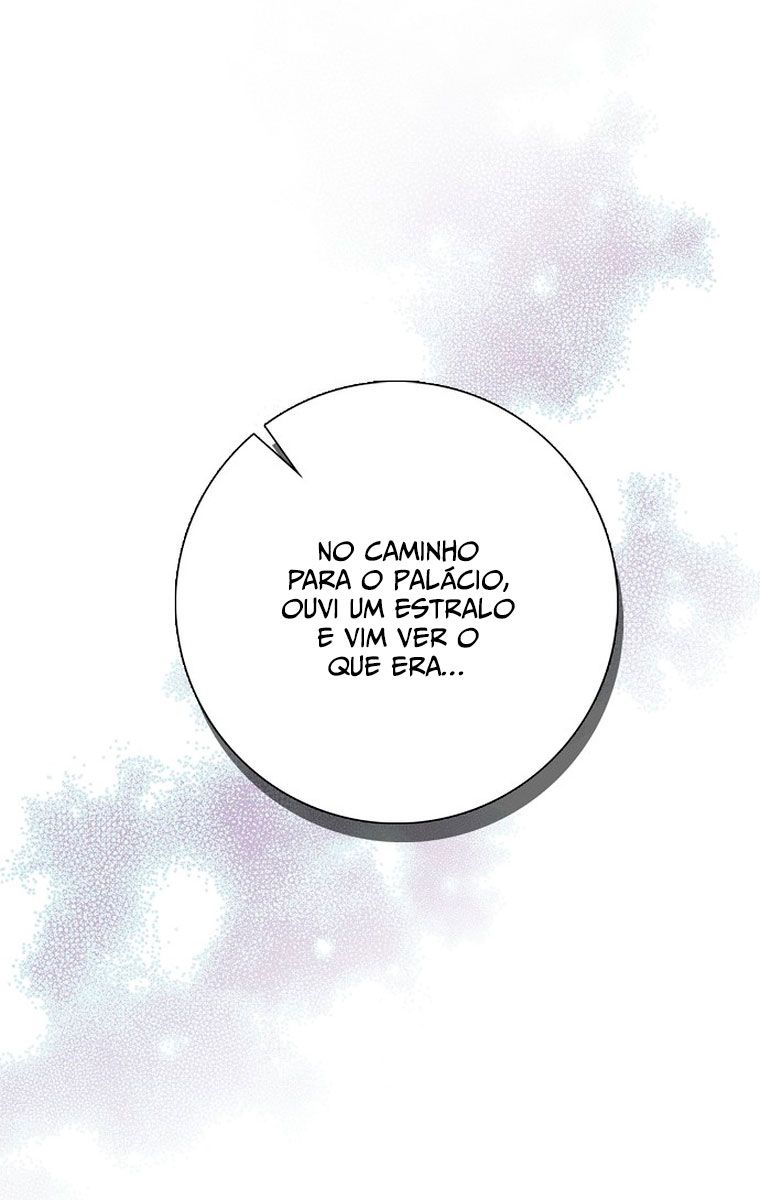 Cap 3 página 51