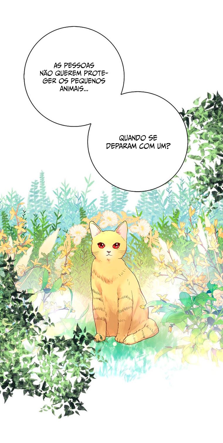 Cap 6 página 51