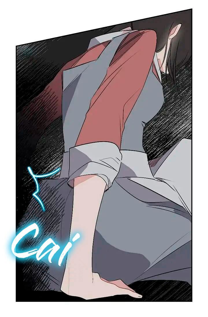 Cap 4 página 42