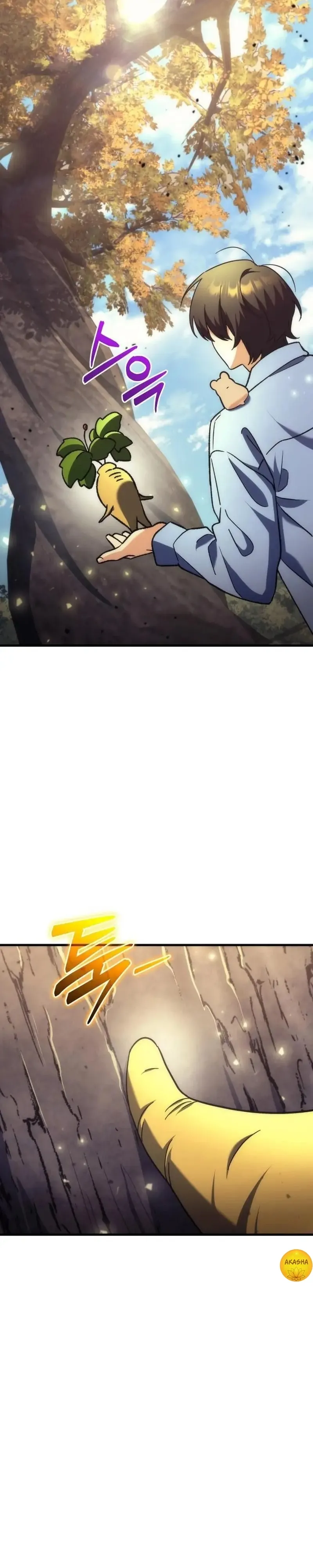 Cap 4 página 47
