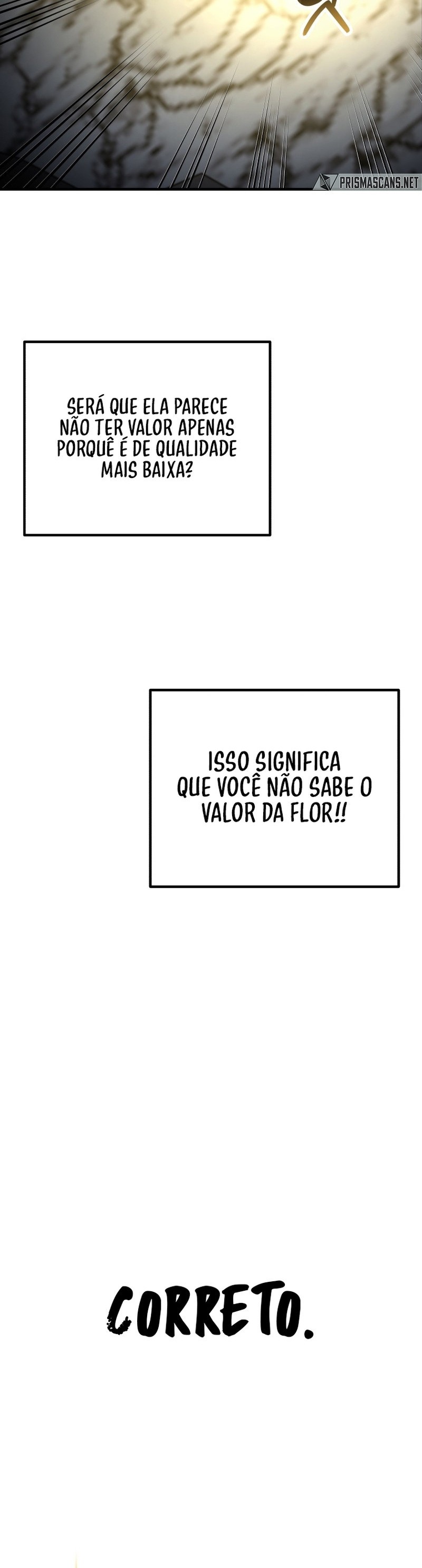 Cap 11 página 101