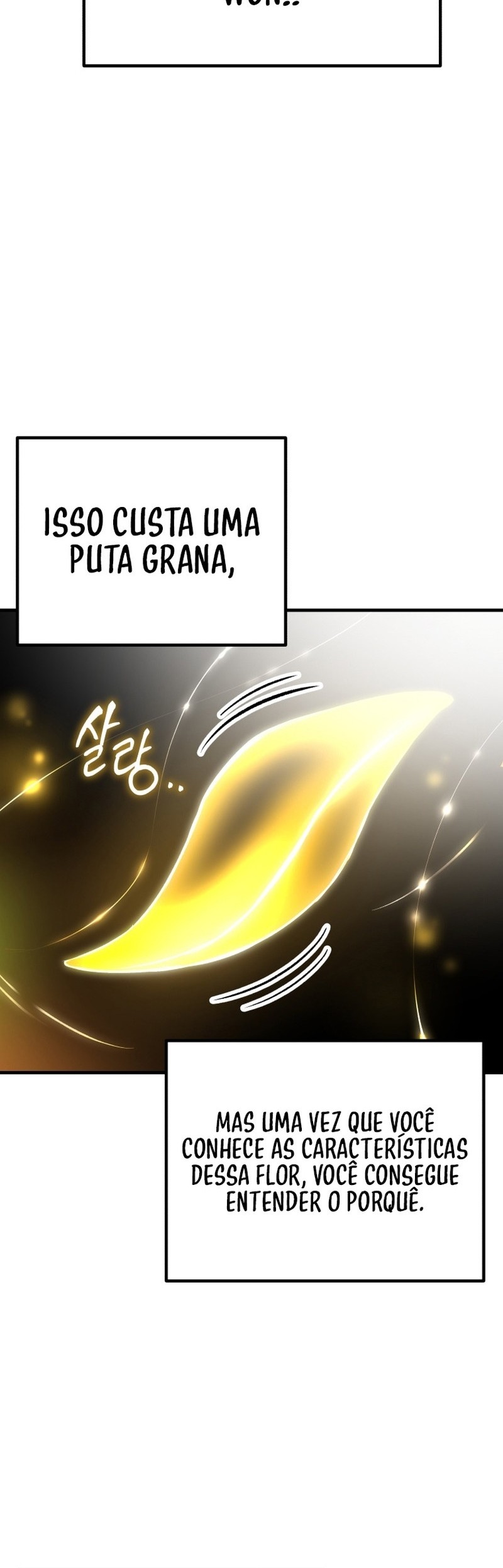 Cap 11 página 103