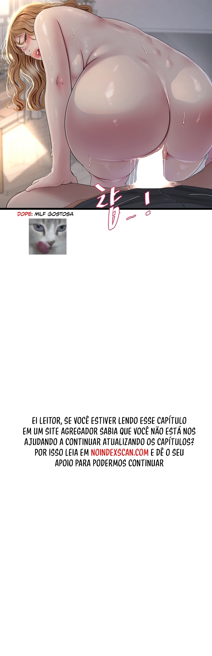 Cap 5 página 29