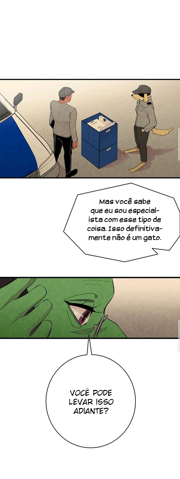 Cap 6 página 41