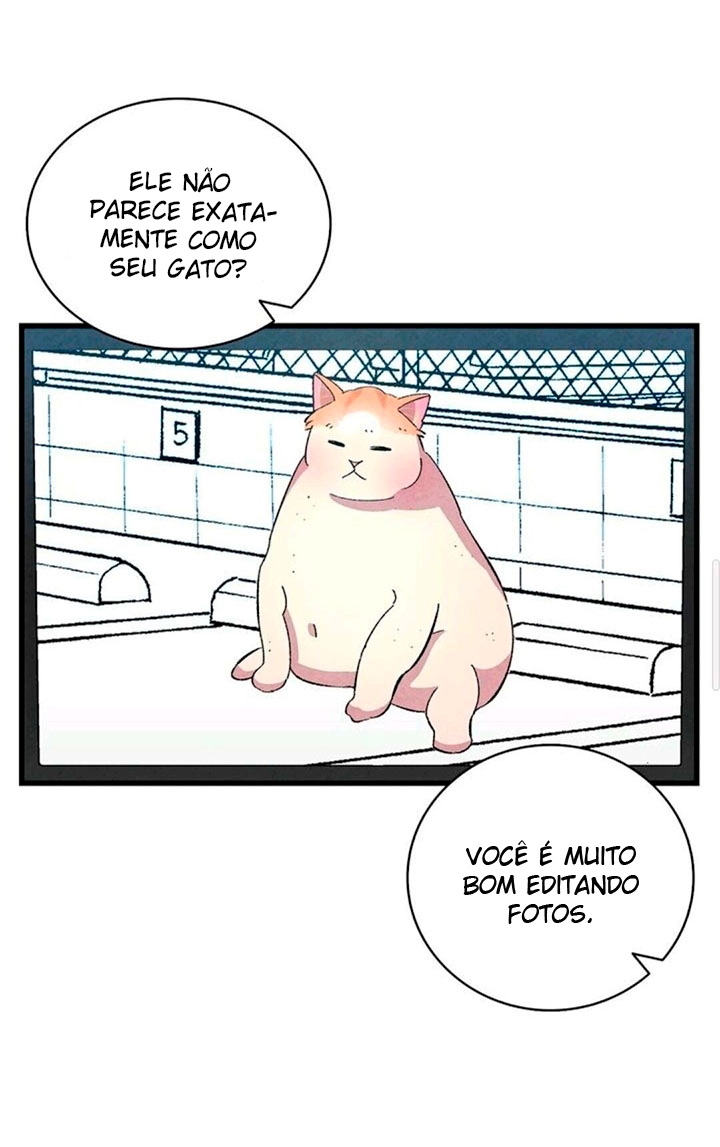 Cap 6 página 6