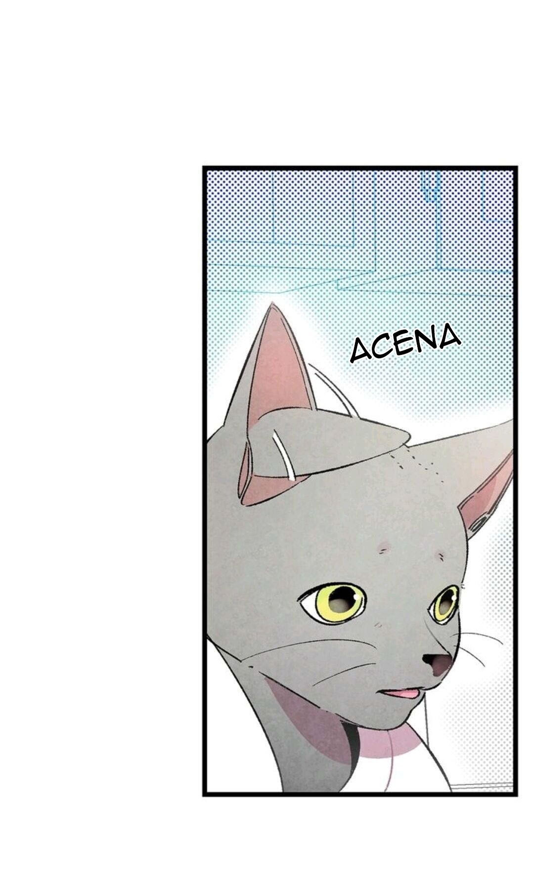Cap 8 página 47